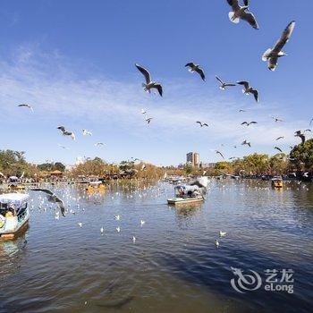 昆明途掌柜111091精品民宿酒店提供图片