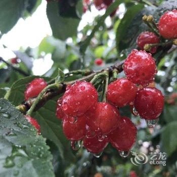 崂山青山映海民宿(2号店)酒店提供图片
