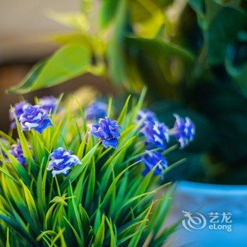 魔法小屋(杭州河坊街景区店)酒店提供图片