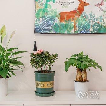 成都赛琳娜公寓酒店提供图片