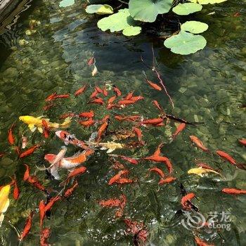 青岛阿陈公寓(2号店)酒店提供图片