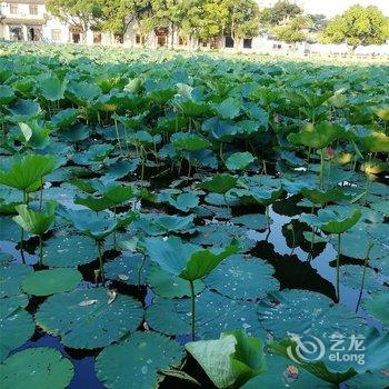 舟山普陀山·农家小舍酒店提供图片