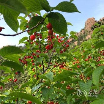 青岛北九水公寓酒店提供图片