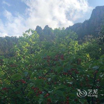 青岛北九水公寓酒店提供图片