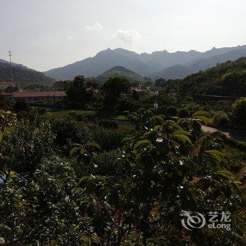 青岛刘春英民宿酒店提供图片