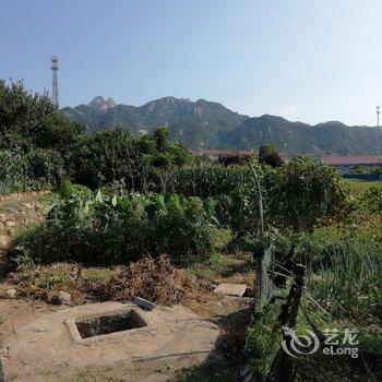 青岛刘春英民宿酒店提供图片