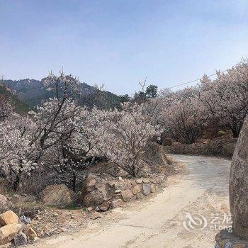青岛马诚公寓酒店提供图片