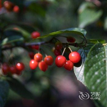 青岛马诚公寓酒店提供图片