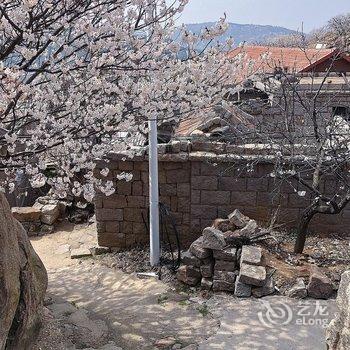 青岛马诚公寓酒店提供图片