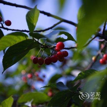 青岛马诚公寓酒店提供图片