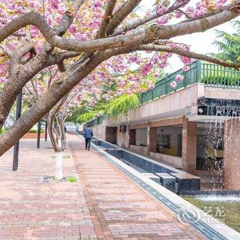 青岛爱笑的人运气不会差公寓(4号店)酒店提供图片