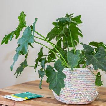 泰州途掌柜111807精品民宿酒店提供图片