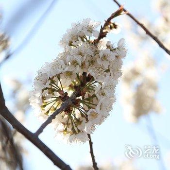青岛兴隆潮宿民宿酒店提供图片