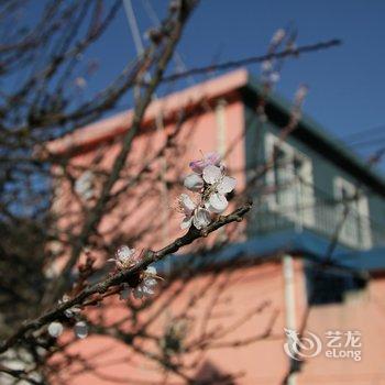 青岛兴隆潮宿民宿酒店提供图片