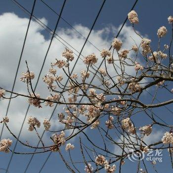 青岛兴隆潮宿民宿酒店提供图片