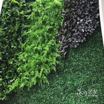 广州叮叮Christine公寓酒店提供图片