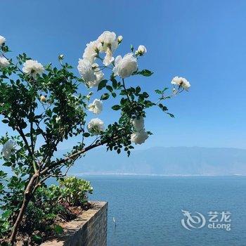 良宿·网红旅拍客栈(大理洱海店)酒店提供图片