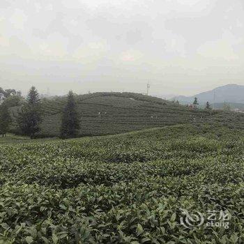 杭州枉山民宿酒店提供图片