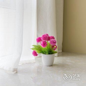 成都飛鱼楠舍公寓酒店提供图片