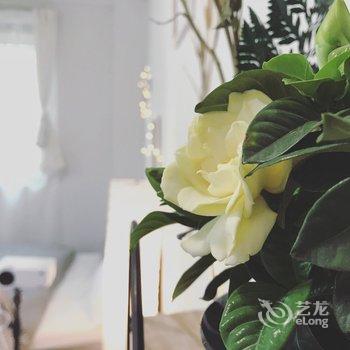 广州今晚打老虎公寓(2号店)酒店提供图片