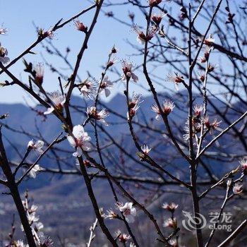 北京椿湫民宿酒店提供图片