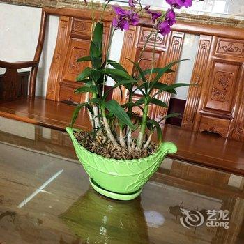 肇庆康乐休闲小墅公寓酒店提供图片