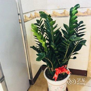 肇庆康乐休闲小墅公寓酒店提供图片