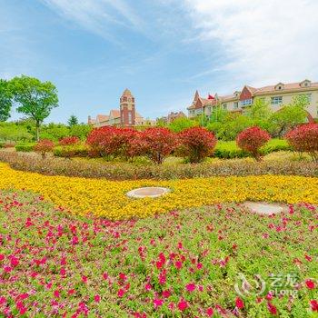 青岛顾清武公寓酒店提供图片