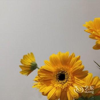 温州小米饭公寓酒店提供图片