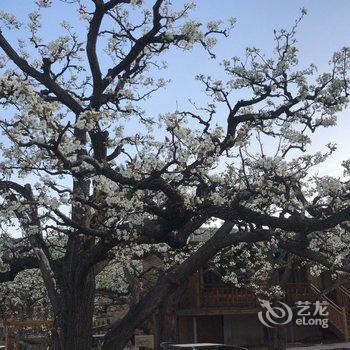 不老山居民宿(北京不老屯店)酒店提供图片