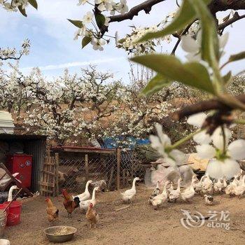 不老山居民宿(北京不老屯店)酒店提供图片