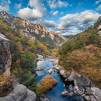 青岛王阿姨公寓酒店提供图片