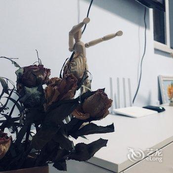 青岛温柔的南墙啊公寓酒店提供图片