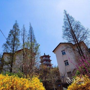 青岛早更美美哒公寓酒店提供图片