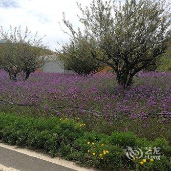 昆明健康平川度假别墅酒店提供图片