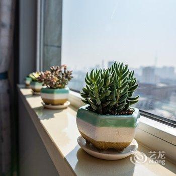 青岛杨柳青青公寓酒店提供图片