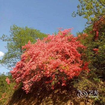 栾川胡雷民宿(2号店)酒店提供图片