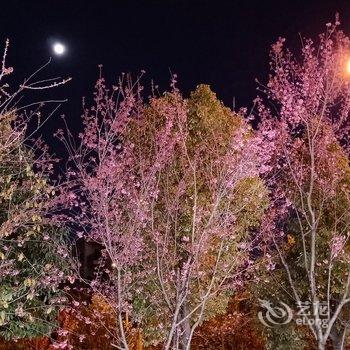 昆明小小芹公寓酒店提供图片