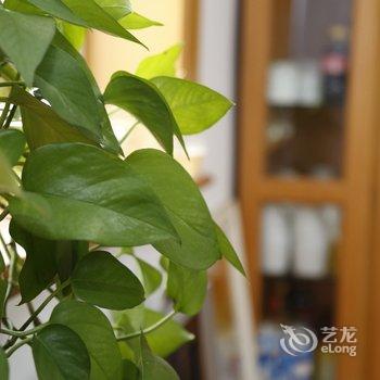 青岛踏实前行特色民宿酒店提供图片