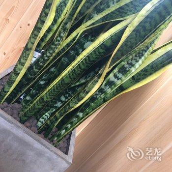 上海Loft蜗居公寓酒店提供图片