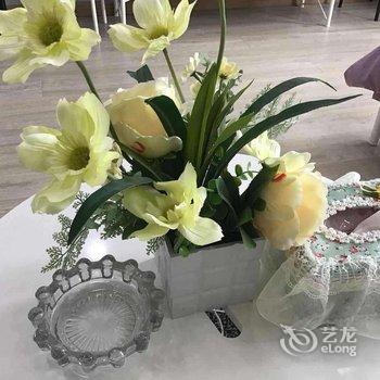 成都无尾熊公寓(11号店)酒店提供图片