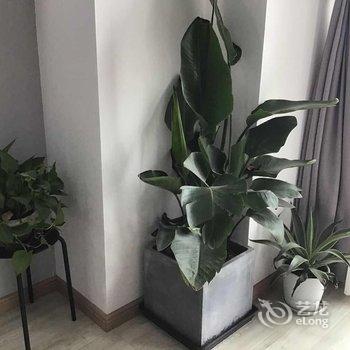 成都无尾熊公寓(11号店)酒店提供图片