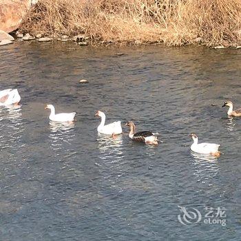 青岛黛色民宿酒店提供图片