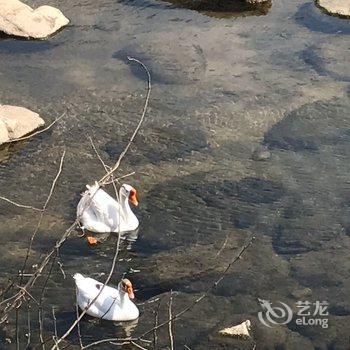 青岛黛色民宿酒店提供图片