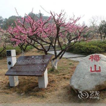 武汉青Forest度假别墅酒店提供图片