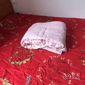 南平张朝南公寓酒店提供图片