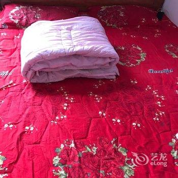 南平张朝南公寓酒店提供图片