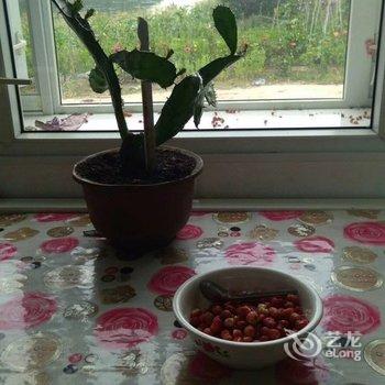 大兴安岭望江亭温馨的家特色民宿酒店提供图片