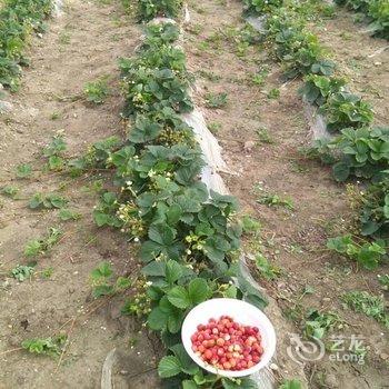 大兴安岭望江亭温馨的家特色民宿酒店提供图片
