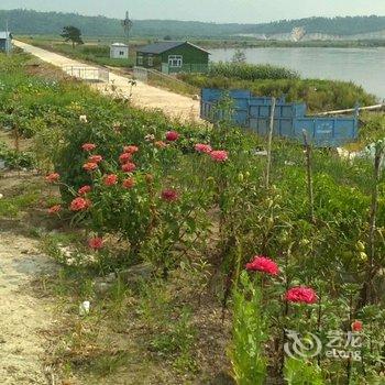 大兴安岭望江亭温馨的家特色民宿酒店提供图片